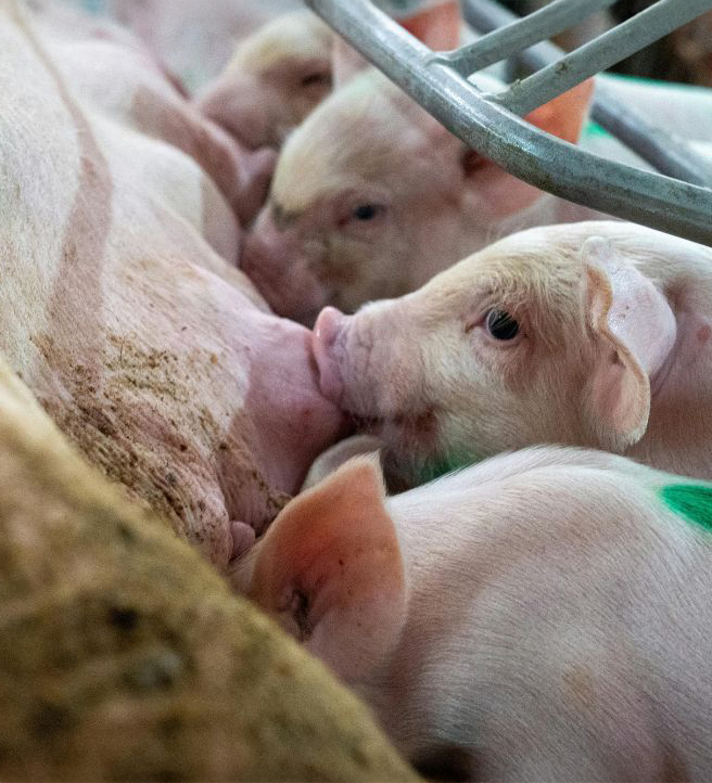 Scientific-educational-content-3